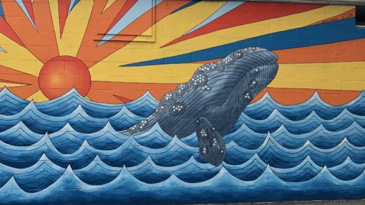 a close up of a blue wall